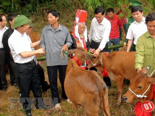 Giảm nghèo: Không hô khẩu hiệu, hướng tới sự bền vững, thiết thực | Xã hội | Vietnam+ (VietnamPlus)