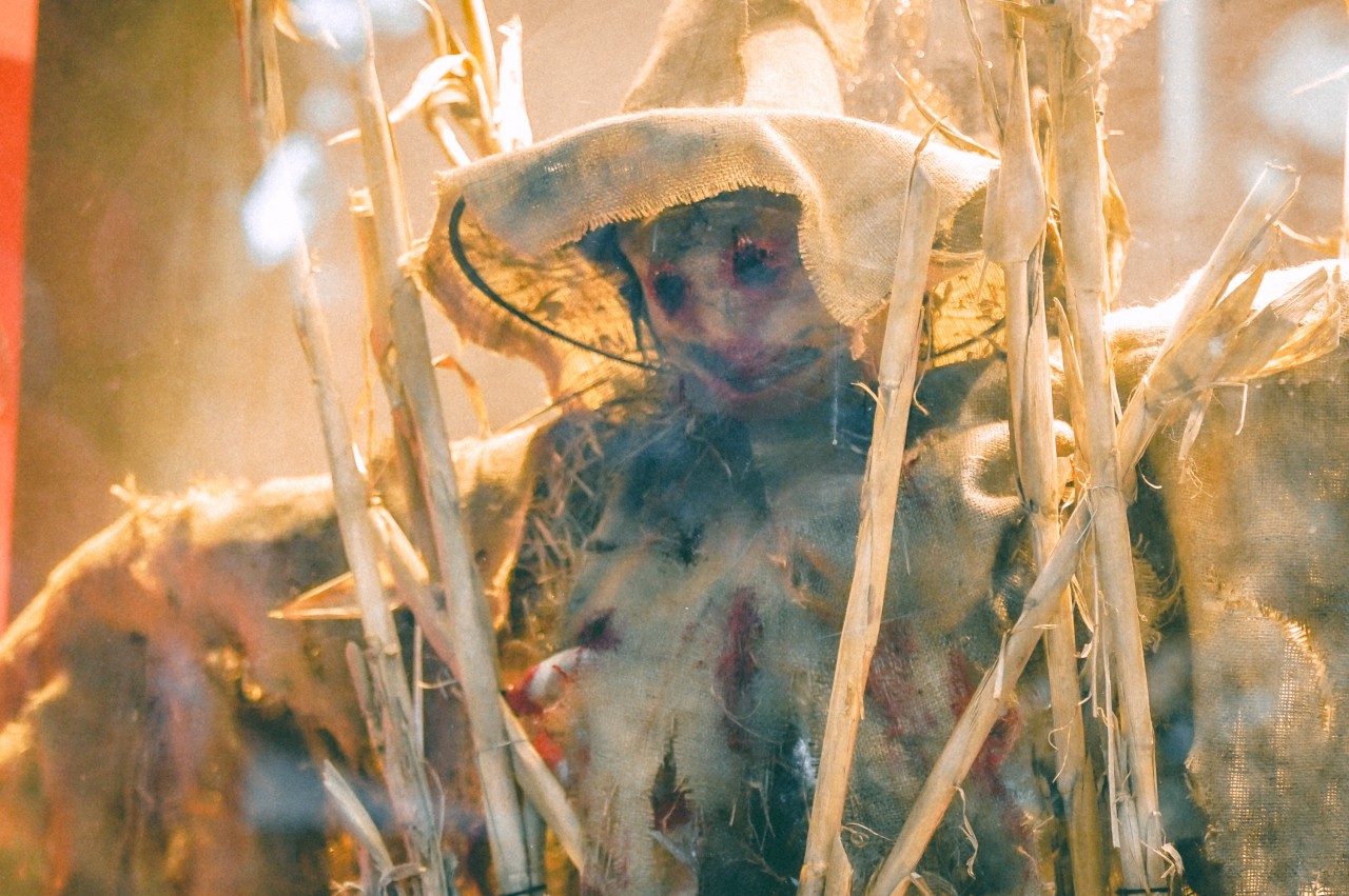 Phố Hàng Mã tưng bừng sắc màu trước ngày hội Halloween