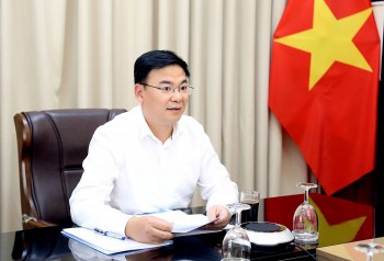 Bộ Ngoại giao thành lập Ban chỉ đạo về công tác bảo hộ công dân Việt Nam ở nước ngoài