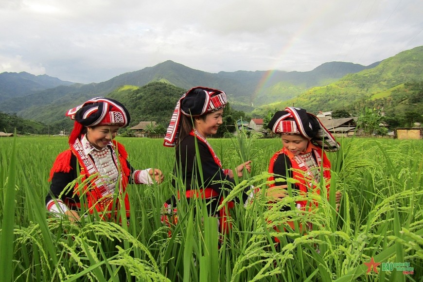 Bình đẳng giới tại vùng đồng bào dân tộc thiểu số
