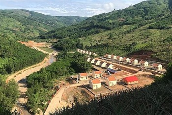 Quảng Ngãi phấn đấu đến năm 2025, ổn định cho 6.457 hộ vùng thiên tai di dân tự do
