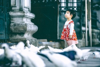 Chiêm ngưỡng những vẻ đẹp hòa bình rất đỗi nên thơ của Hà Nội