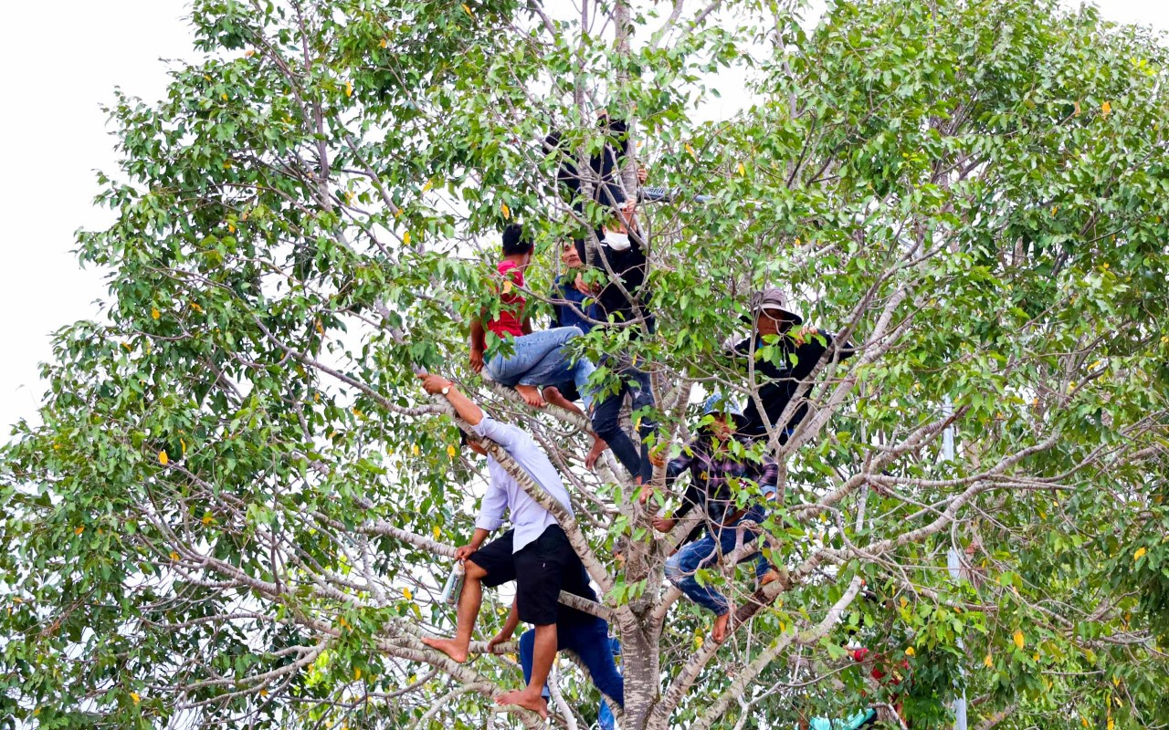 Tưng bừng giải đua ghe Ngo Đồng bằng sông Cửu Long lần thứ V