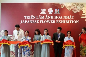 Những sắc màu rực rỡ tại triển lãm hoa Nhật