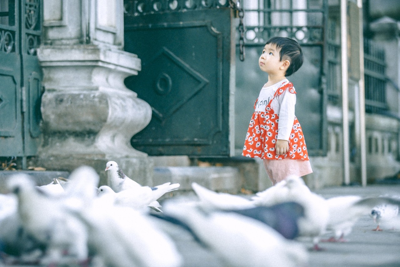 Chiêm ngưỡng những vẻ đẹp hòa bình rất đỗi nên thơ của Hà Nội Chiêm ngưỡng những vẻ đẹp hòa bình rất đỗi nên thơ của Hà Nội