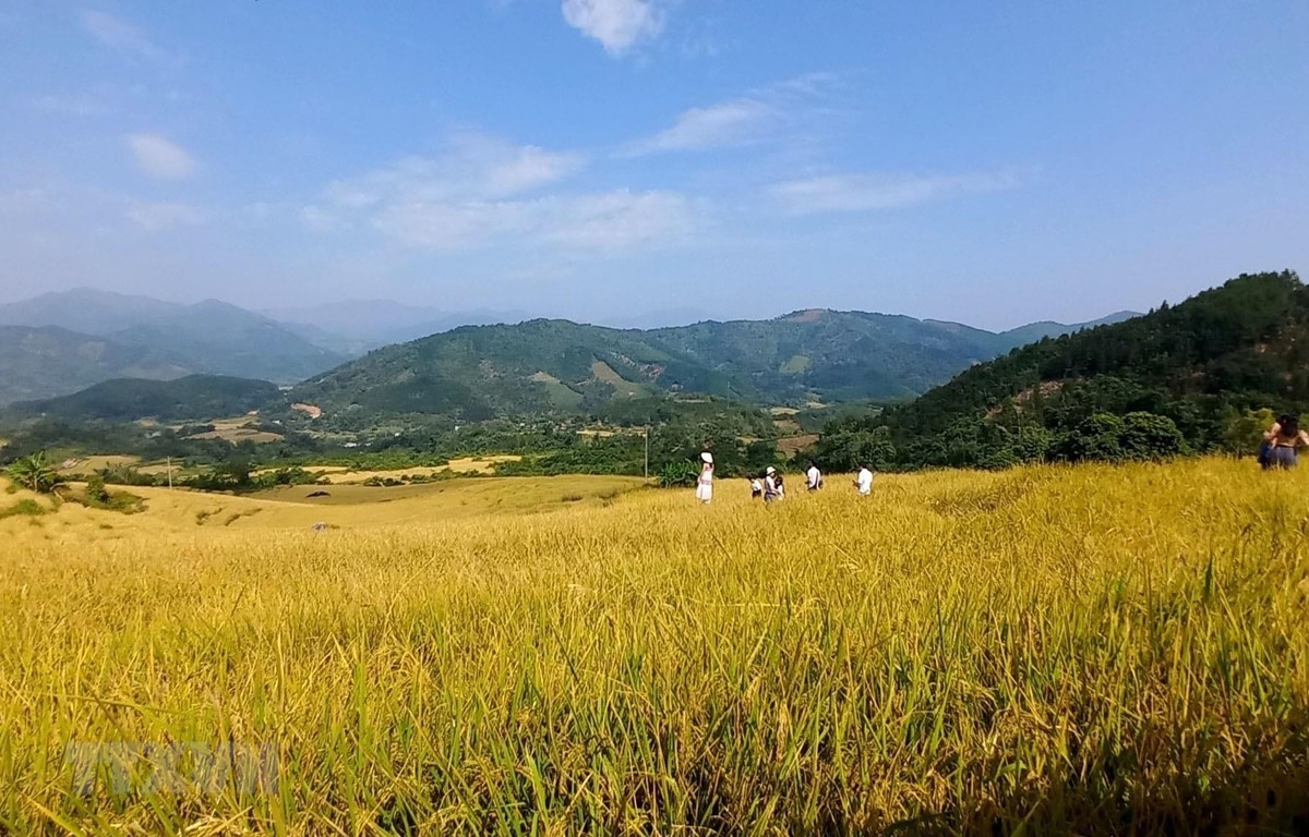 Bình Liêu - điểm đến hấp dẫn trong mùa du lịch thấp điểm | Điểm đến | Vietnam+ (VietnamPlus)