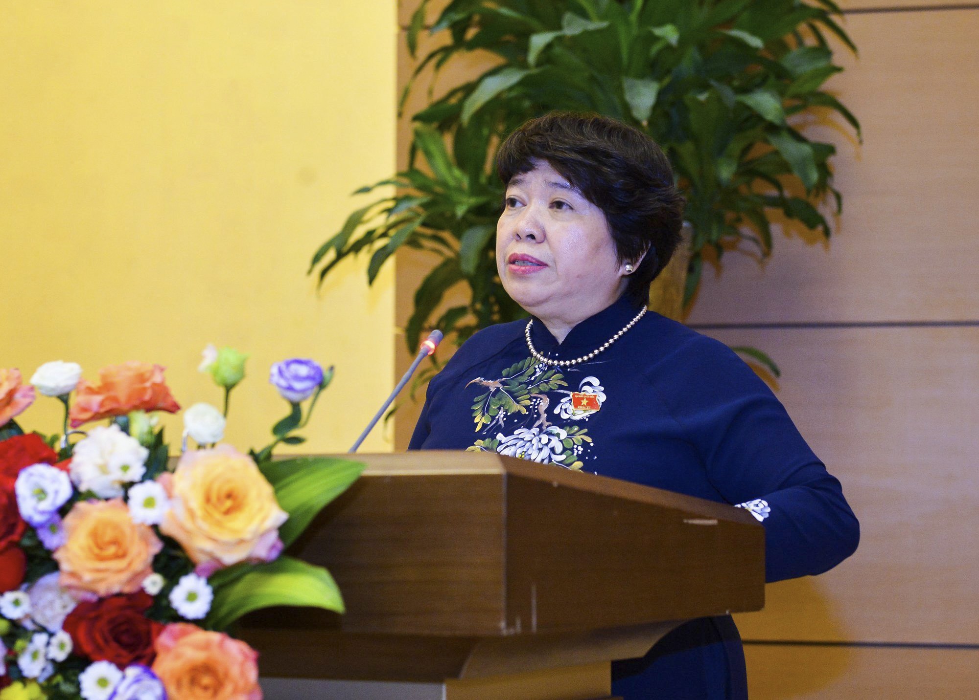 PHÓ CHỦ TỊCH THƯỜNG TRỰC QUỐC HỘI TRẦN THANH MẪN DỰ GẶP MẶT CÁC ĐẠI SỨ, TRƯỞNG ĐẠI DIỆN CÁC TỔ CHỨC PHÁP NGỮ