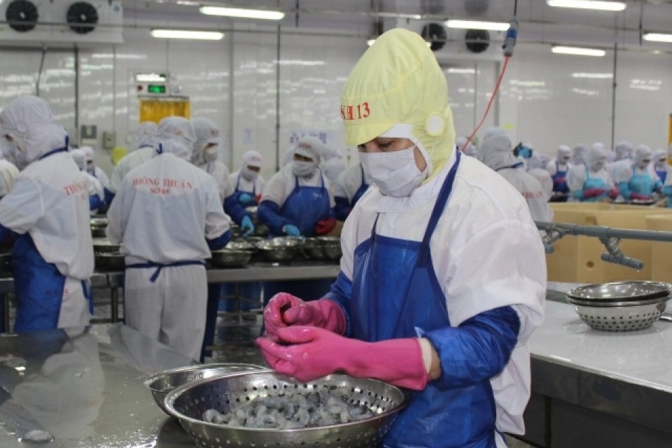 Giải bài toán phát triển bền vững cho hàng Việt ở thị trường EU