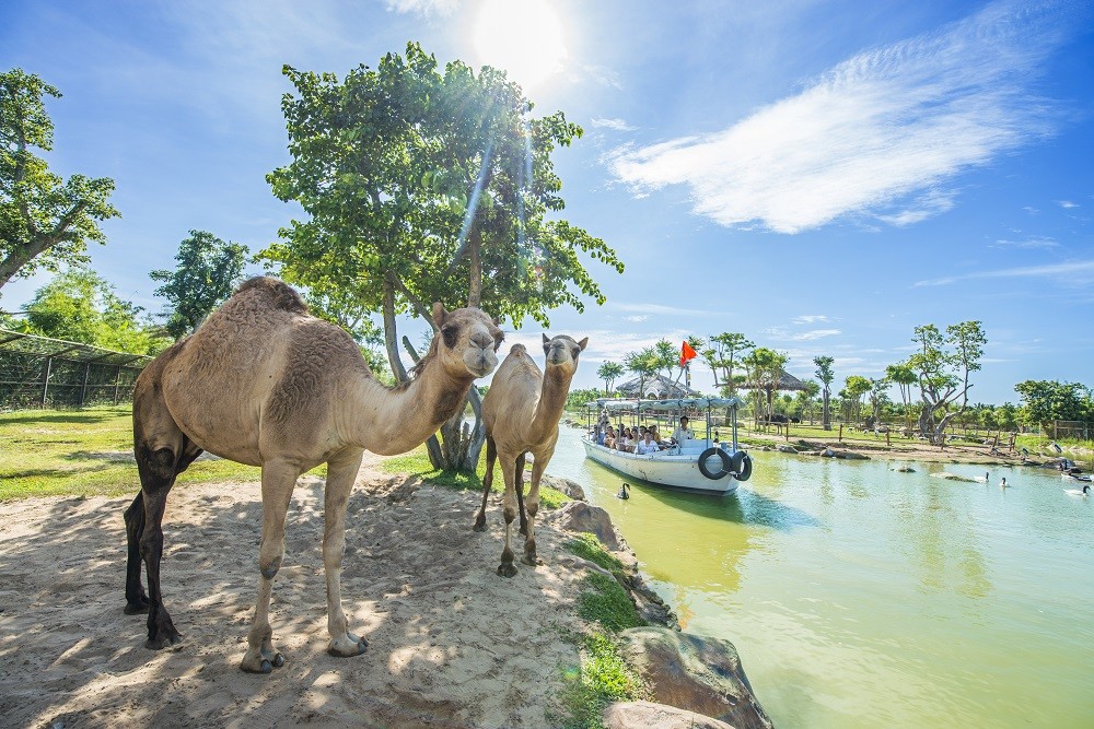 Vinpearl, VinWonders, Vinpearl Golf bùng nổ chuỗi sự kiện đẳng cấp thế giới chào đón mùa lễ hội lớn nhất trong năm