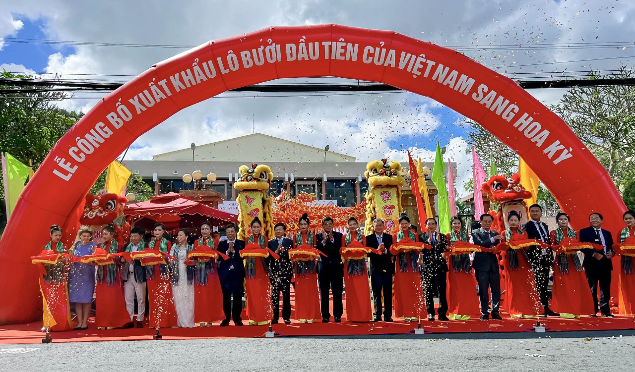 Lô bưởi da xanh đầu tiên của Việt Nam sang thị trường Hoa Kỳ
