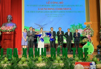 Lô bưởi da xanh đầu tiên của Việt Nam sang thị trường Hoa Kỳ