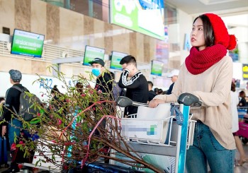 Chính thức "chốt" nghỉ Tết Nguyên đán Quý Mão 7 ngày