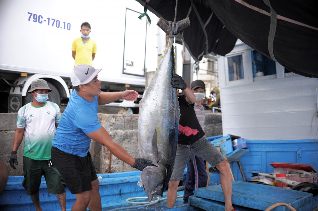 UNCLOS: Hiến pháp của đại dương