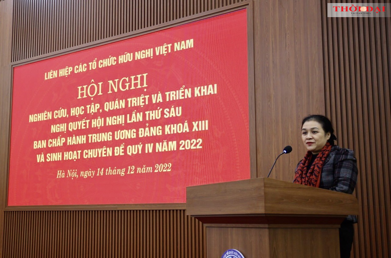 Chủ tịch Liên hiệp các tổ chức hữu nghị Việt Nam Nguyễn Phương Nga phát biểu tại hội nghị (Ảnh: Hải An).