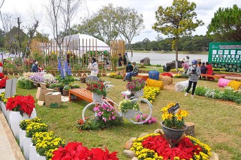 Muôn hoa khoe sắc tại Festival Hoa Đà Lạt 2022