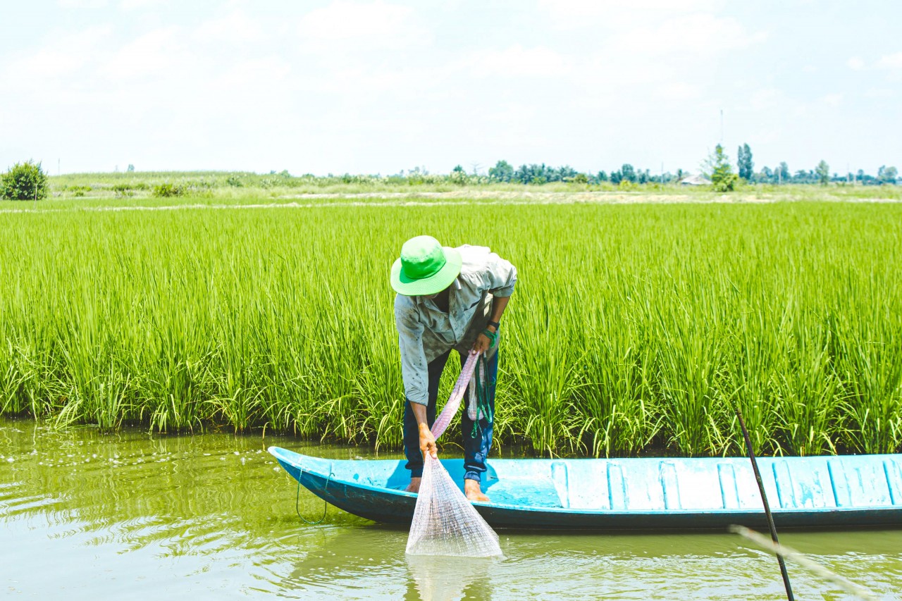 WWF Việt Nam khởi động dự án