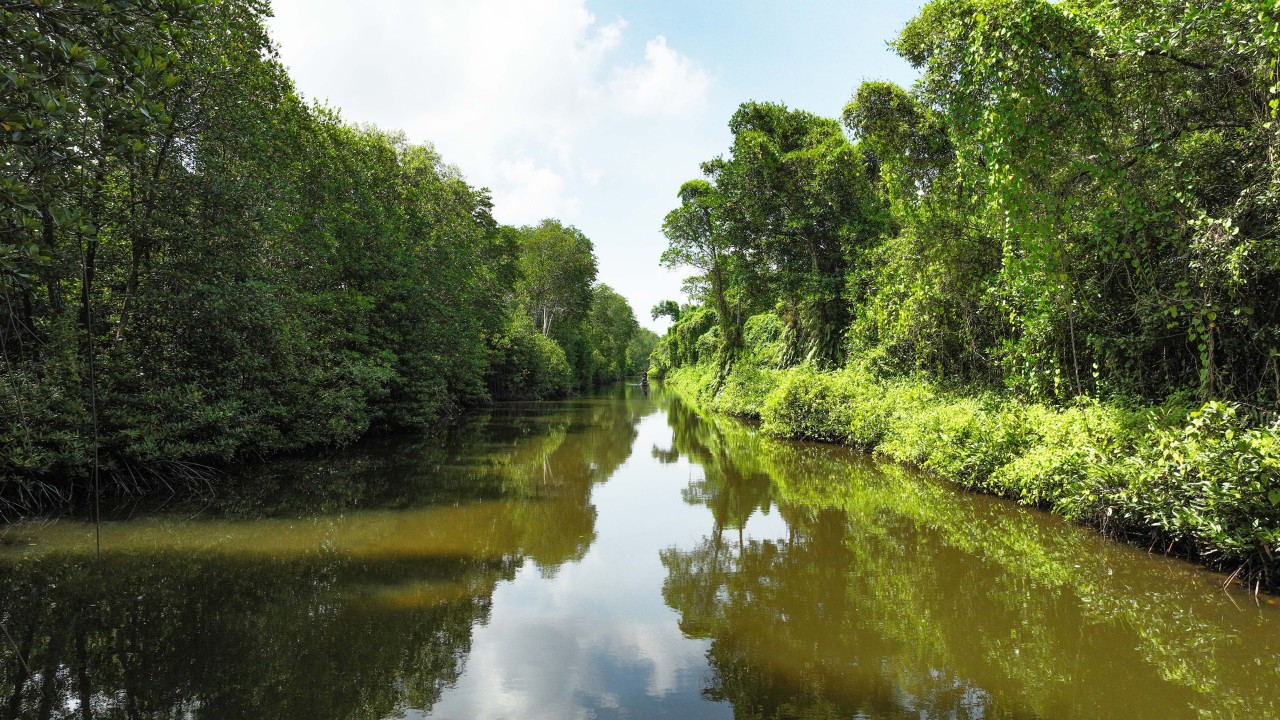 WWF Việt Nam khởi động dự án