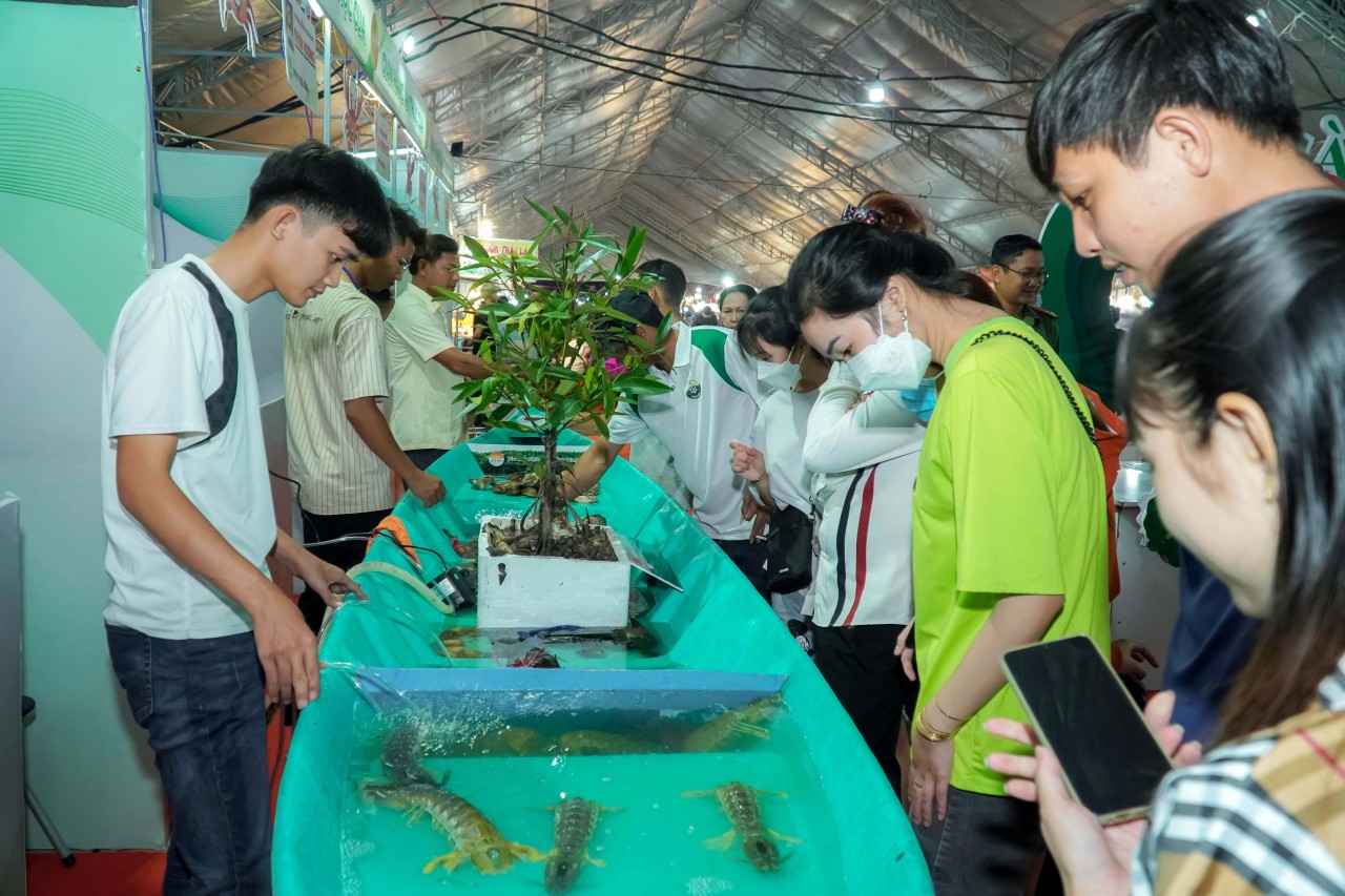 Cà Mau lần đầu tiên tổ chức Ngày hội Cua