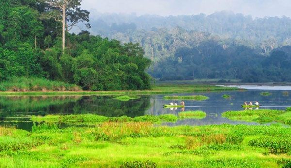 Hơn 6,6 triệu USD nhằm đa dạng sinh học và tạo sinh kế cho người dân Đồng Nai - Quảng Nam - Nghệ An
