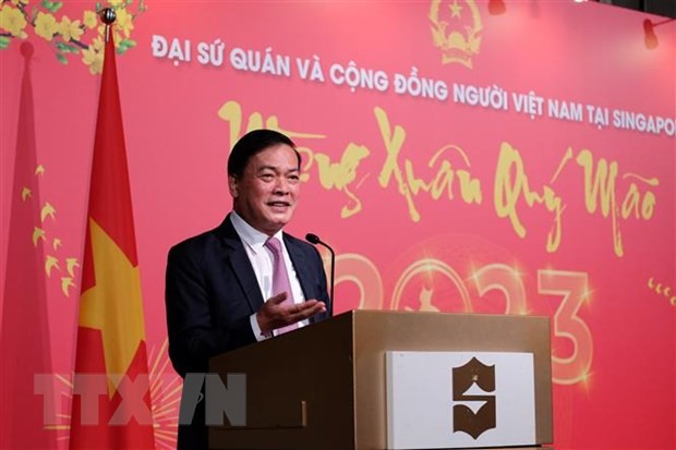 Bà con người Việt tại Singapore phấn khởi đón Tết cổ truyền | Người Việt bốn phương | Vietnam+ (VietnamPlus)