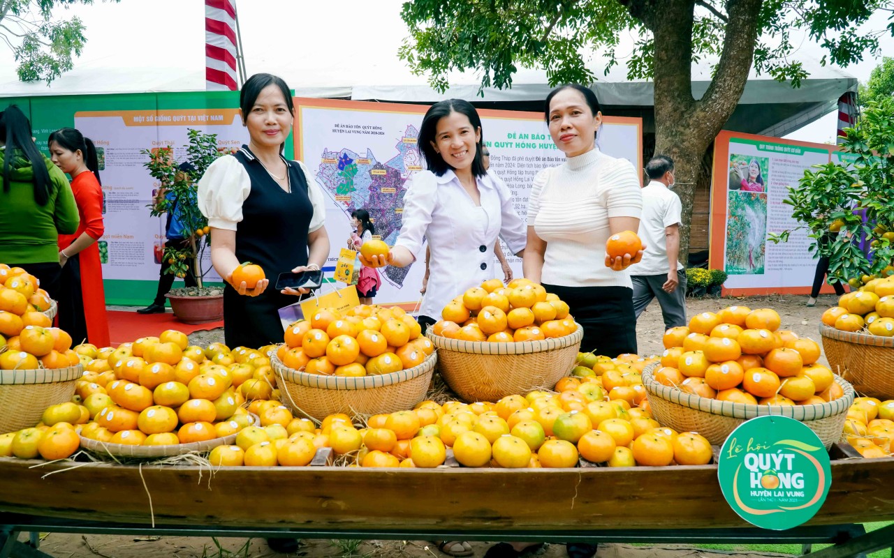 Đồng Tháp: Lần đầu tiên tổ chức lễ hội tôn vinh, quảng bá quýt hồng Lai Vung