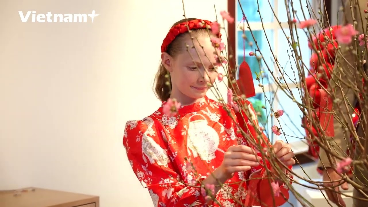 Đại sứ Na Uy &quot;đưa&quot; truyền thống của đất nước mình lên cây đào Tết Việt | Văn hóa | Vietnam+ (VietnamPlus)