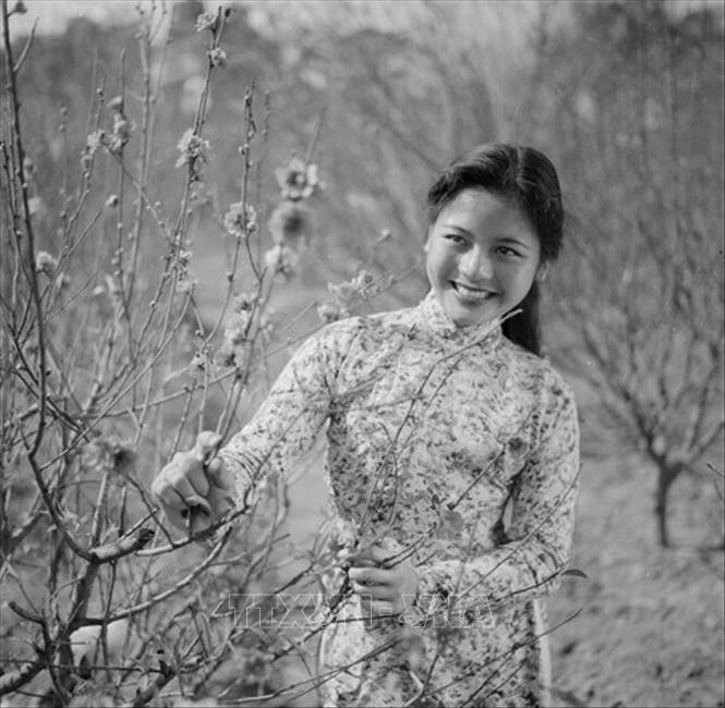 [Ảnh] Những hình ảnh lịch sử của Tết Quý Mão 1963