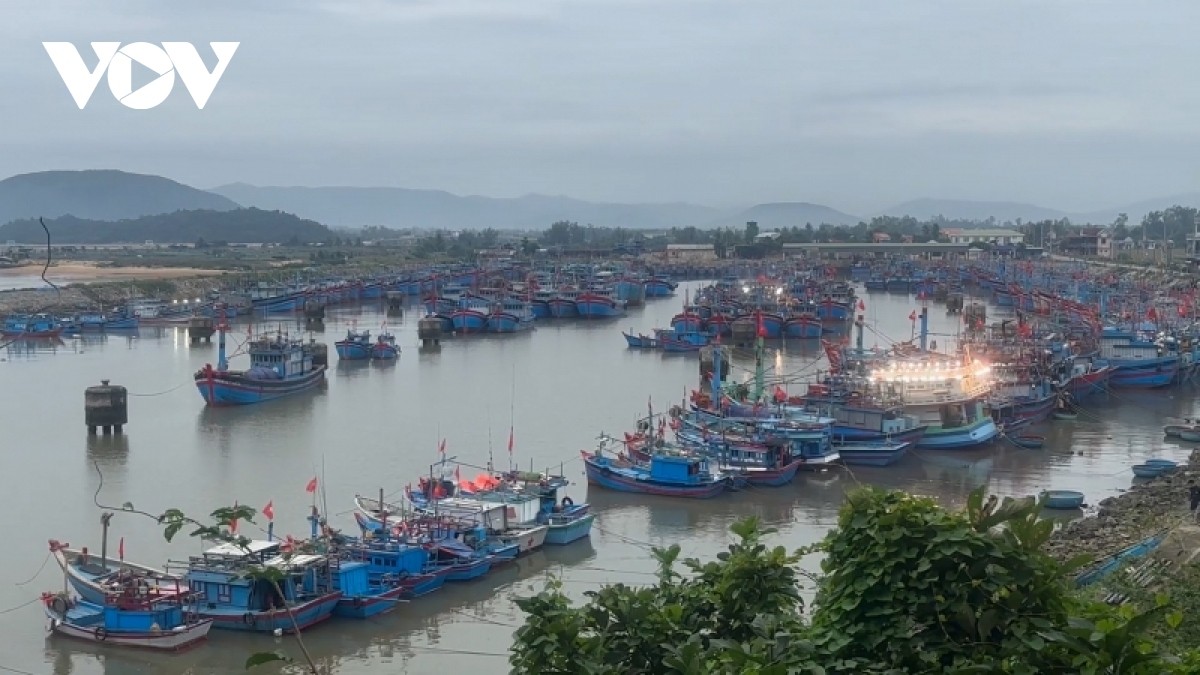 Ngư dân Quảng Ngãi mở biển đầu năm mới