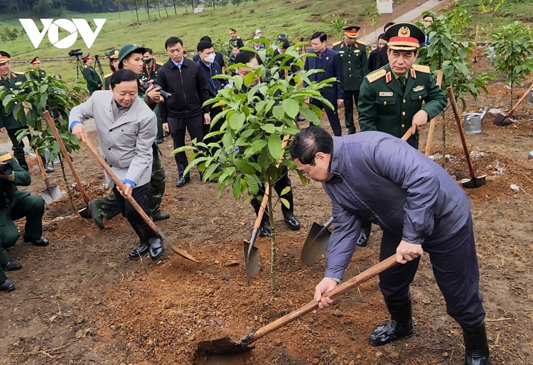 Thủ tướng kêu gọi Nhân dân hăng hái tham gia trồng cây ngay từ những ngày đầu xuân