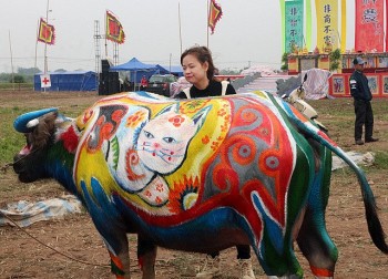Họa sĩ thay 