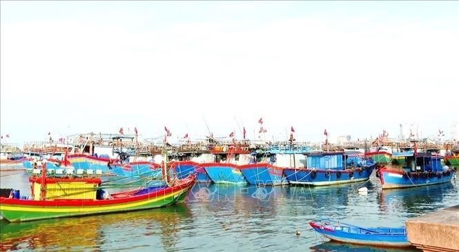 Chuyến biển đầu năm với nhiều kỳ vọng mới Chuyến biển đầu năm với nhiều kỳ vọng mới