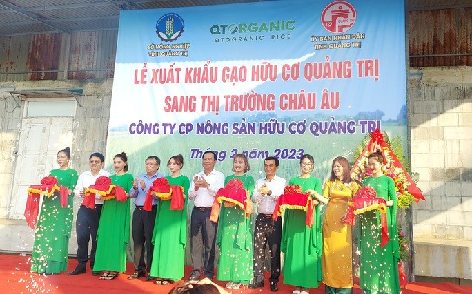 Quảng Trị xuất khẩu 15 tấn gạo hữu cơ đầu tiên sang thị trường châu Âu