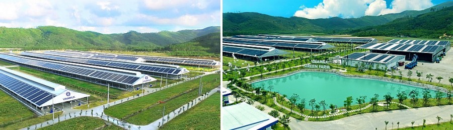 Hệ thống trang trại sinh thái Vinamilk Green Farm là kết quả nổi bật của Vinamilk trong việc thực hiện chiến lược phát triển bền vững.