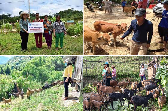 Quảng Nam phấn đấu giảm ít nhất 3.000 hộ nghèo trong năm 2023