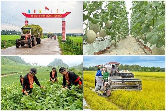 Thực hiện nhiều nhiệm vụ phát triển kinh tế - xã hội vùng đồng bào DTTS&MN