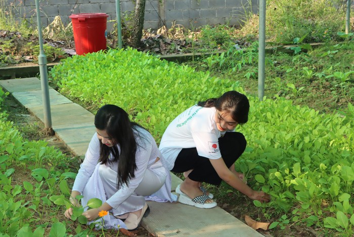 Đồng Tháp: 20 trường học hưởng lợi từ dự án “Phát triển nông nghiệp hữu cơ”