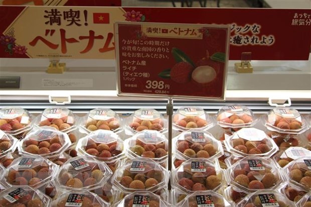 Vải thiều Việt Nam được bày bán tại siêu thị AEON Lake Town ở Saitama (Nhật Bản) (Ảnh: Đào Thanh Tùng/TTXVN).