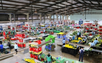 Doanh nghiệp Việt cần làm gì để chinh phục thị trường Nhật?