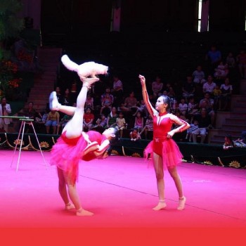 gala xiec quoc te viet lao