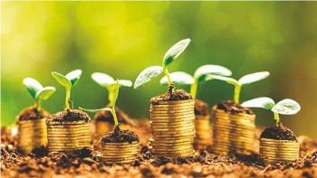 Ngành sản xuất chiếm gần một nửa nhu cầu nhân sự 