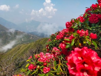 Gợi ý những điểm đến đẹp ở Việt Nam trong tháng 3 cho du khách người nước ngoài