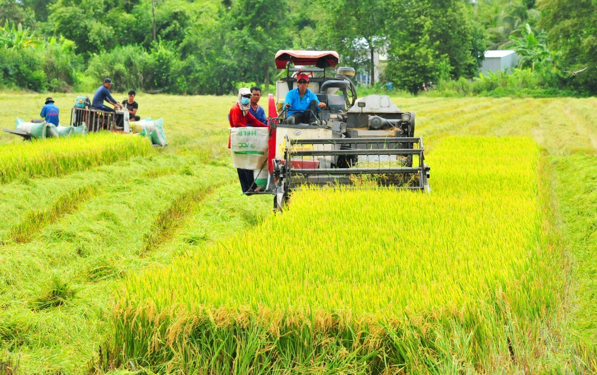 Xem trước bài viết |  BizLIVE.vn - Nhịp sống doanh nghiệp
