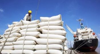 Indonesia tăng nhập khẩu gạo lên 2 triệu tấn, cơ hội cho doanh nghiệp Việt Nam?