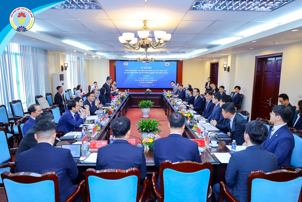 Liên minh HTX Việt Nam thúc đẩy hợp tác toàn diện với đối tác Hàn Quốc