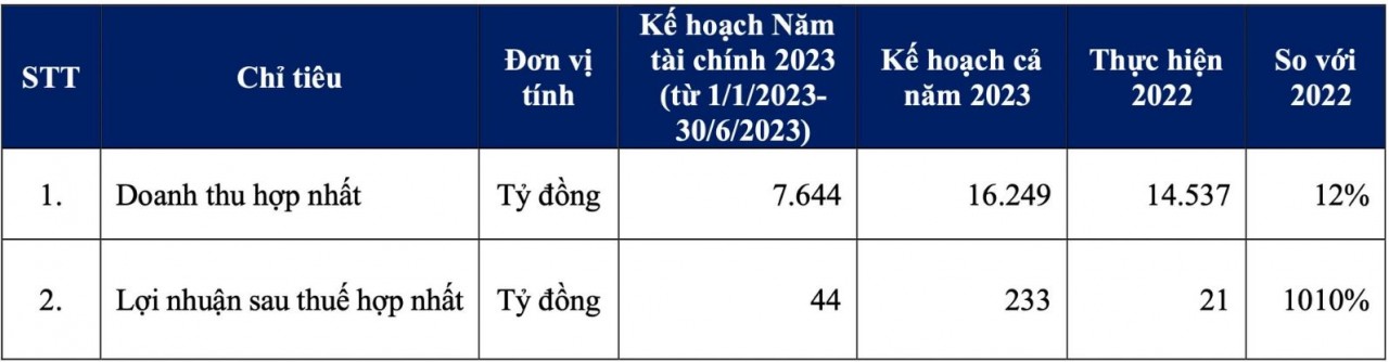 Sau năm 2022 chật vật, các “ông lớn” xây dựng lên kế hoạch lãi trăm tỷ năm 2023