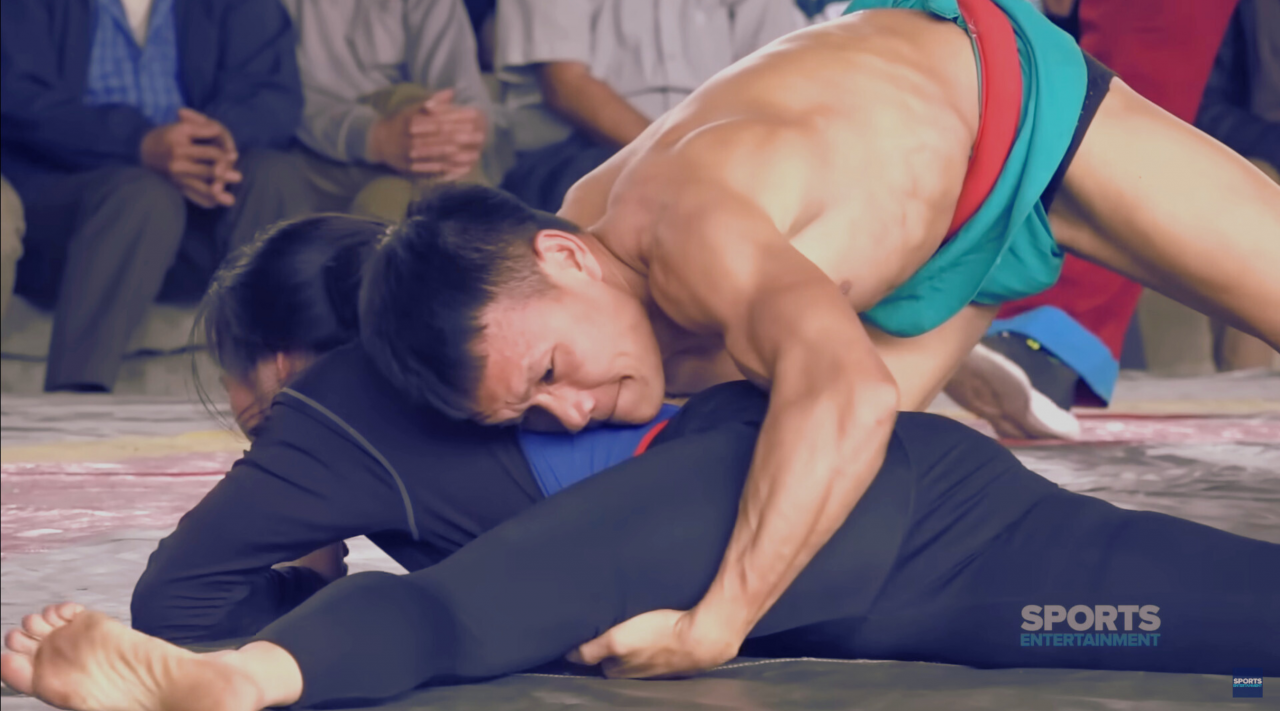 Phản ứng từ chuyên gia và người hâm mộ
