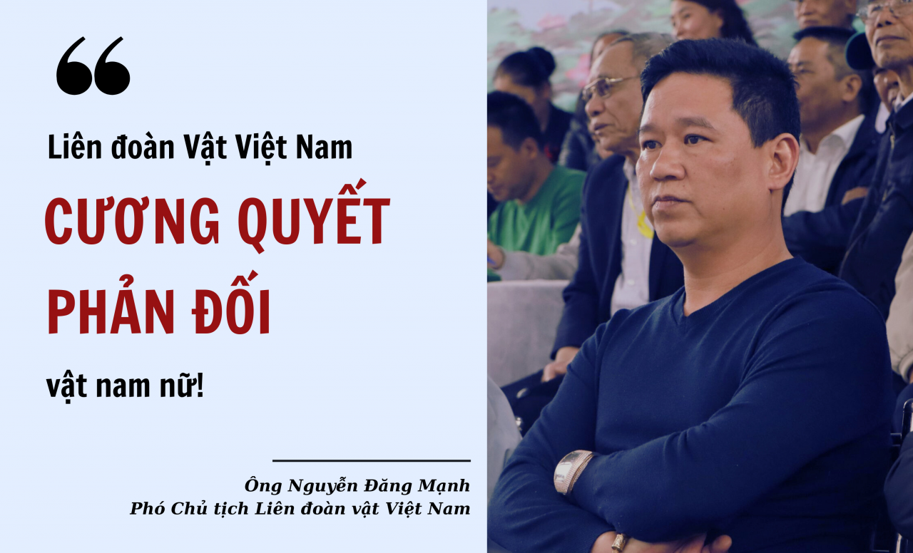 Bài 2: Phản ứng từ chuyên gia và người hâm mộ Bài 2: Phản ứng từ chuyên gia và người hâm mộ