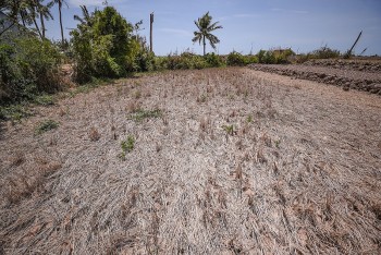 Tân Á Đại Thành tung chính sách bảo hành 1 đổi 1 cho “Siêu bồn nhựa Plasman”