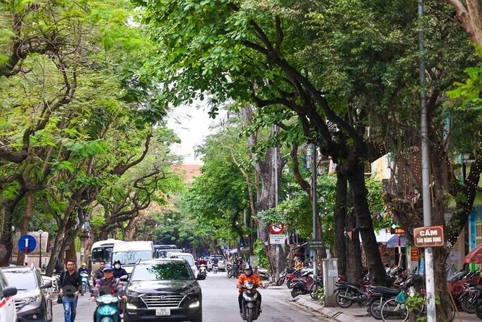 Toàn cảnh 3 địa điểm dự kiến trở thành phố đi bộ mới của Hà Nội | Đời sống | Vietnam+ (VietnamPlus)
