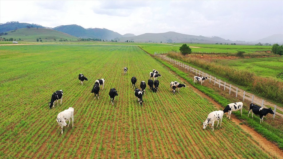 Vinamilk trả cổ tức năm 2022 bằng tiền lên đến 94% lợi nhuận, mục tiêu doanh thu năm 2023 kỷ lục